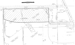 Detailed Site Plan